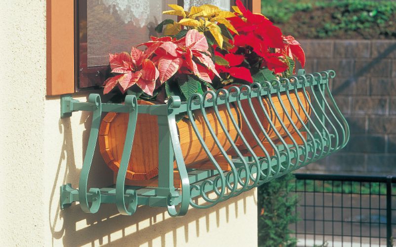 アッシューシリーズ